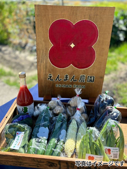 【毎月第三木曜日発送】旬の季節野菜便